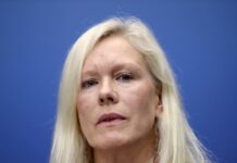 瑞典前驻华大使也涉勾结外国势力遭诉