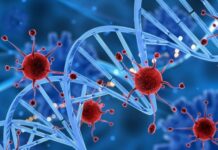 为什么最高领导人发话后武汉肺炎确诊及死亡人数恐怖攀升