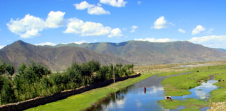 林芝风光（封面）