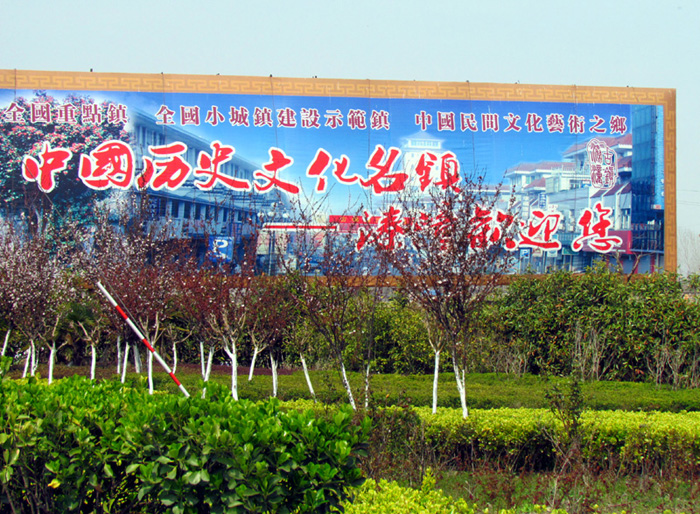 江苏兴化水上油菜花