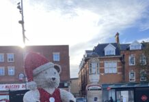 冬天的倫敦 滿目所見聖誕紅