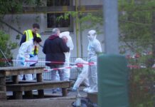 德國柏林一學校發生持刀襲擊 一名39歲男子懷疑涉案被捕