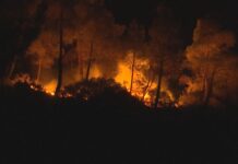 希臘羅得島山火持續 約19000人疏散