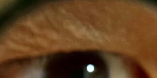 像眼睛那麼小的黃金龍，讓人看得目瞪口呆！