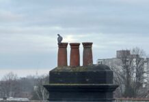 情中倫敦 鳥兒在煙囪上