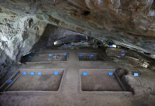 (東西問)付永旭:甑皮岩遺址見證了華南古人類怎樣的生活圖景?