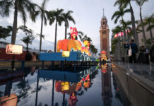 (新春見聞)香港點亮蛇年春節彩燈 “錦鯉”躍動年味濃