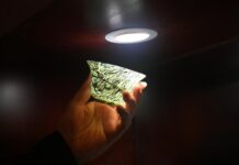 (尋味中華丨非遺)酒泉飲美酒 夜光盛滿杯