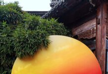 2025維多利亞國際攝影大賽入選作品:心中的太陽