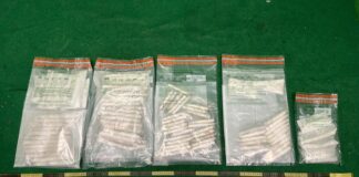 香港海關檢獲約二百五十萬元懷疑可卡因