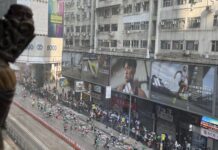 香港馬拉松全馬賽事展開 李家超任主禮嘉賓; 黃尹雋及羅映潮奪香港馬拉松全馬男女子組本地冠軍