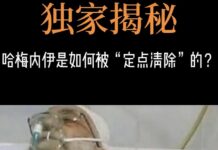 《吉祥政評·精准斬首》(1635)