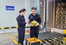 中老鐵路上半年進出口貨值同比增逾三成