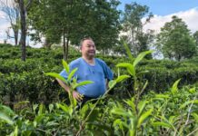 一盞清茶承文脈 半生篤行潤寰球——專訪茶文化行者羅大友先生